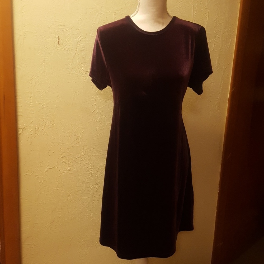 Beautiful Violet Velvet Dress